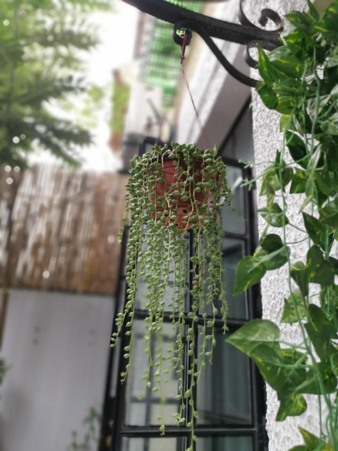 林人酒店 Jingan Exteriör bild